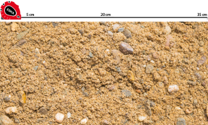 DSC_0100_betonkies_0_16