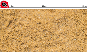 DSC_0111_sand_0_2